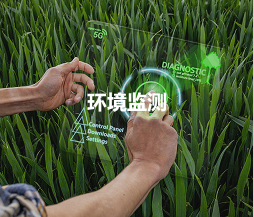 环境监测